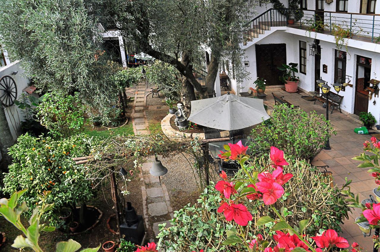 Viejo Olivo B&B Sucre Dış mekan fotoğraf