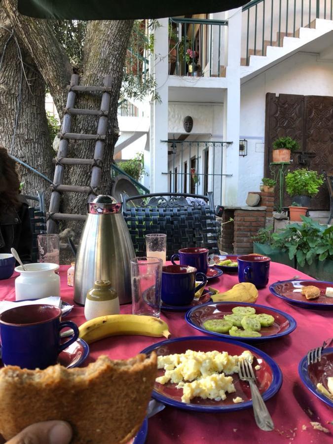 Viejo Olivo B&B Sucre Dış mekan fotoğraf